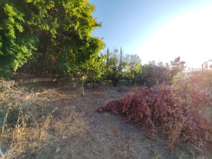Finca rústica con electricidad y agua potable en Coín - Imagen 3
