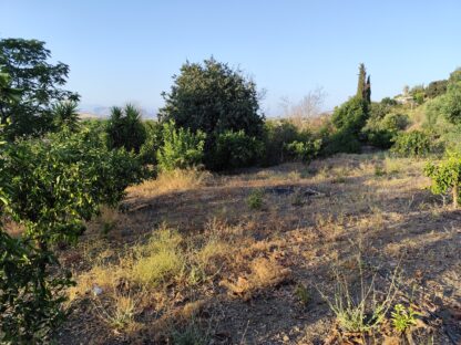 Finca rústica con electricidad y agua potable en Coín - Imagen 2