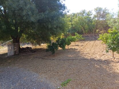 Finca Rústica en Coín con 3 dormitorio, piscina y barbacoa - Imagen 12