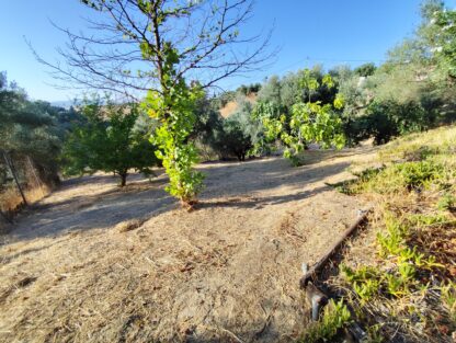 Finca rústica en Coín, con AFO - Imagen 29