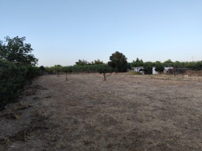 Finca Rústica llana con agua y electricidad en Coín - Imagen 2