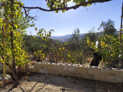 Finca rústica en Tolox con agua potable - Imagen 4
