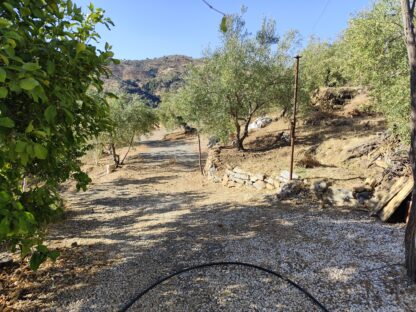 Finca rústica en Tolox con agua potable - Imagen 3