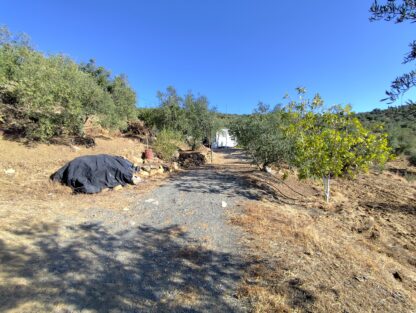 Finca rústica en Tolox con agua potable - Imagen 10